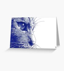 Tabby Greeting Card
