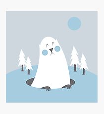 Groundhog Photographic Print