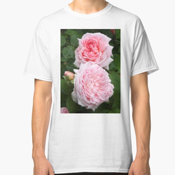 Englisch Rose - Eglantyne Classic T-Shirt