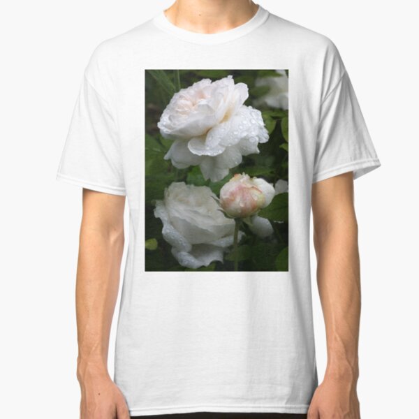 Englisch Rose Winchester Kathedrale Classic T-Shirt