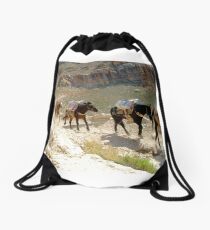 Equine Enterprise Drawstring Bag
