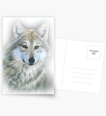 Wolf Postcards