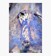 Iridescent Photographic Print