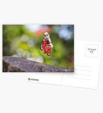 Storm Trooper Skill Postcards