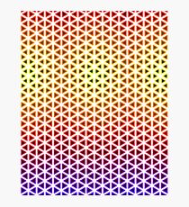 Cognitron Photographic Print