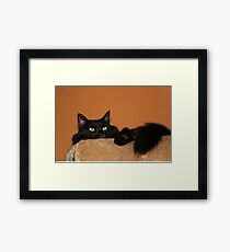 Pooh Bear Peeping Framed Print