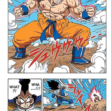 Dragon Ball Z Poster Goku SSJ3 and Vegeta SSJ2 12in x 18in Free Shipping