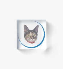 Wiggles Acrylic Block