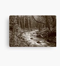 white water Canvas Print