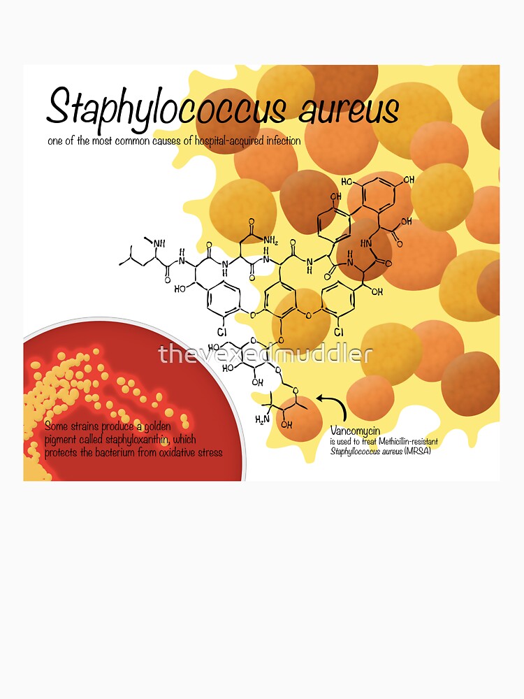 Staphylococcus aureus by thevexedmuddler