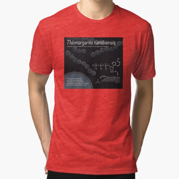 Thiomargarita namibiensis Tri-blend T-Shirt