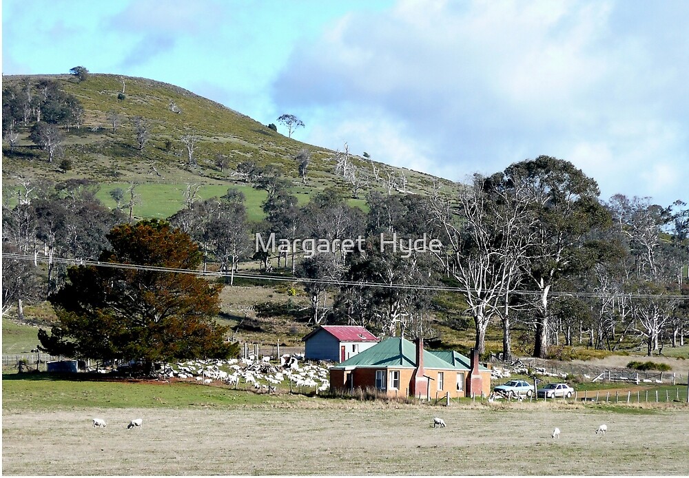 "sheep farming , Bothwell, Tasmania, Australia" by Margaret Hyde