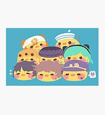 8 birds Photographic Print