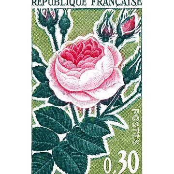 1962 FRANCE Old Rose Postage Stamp