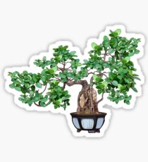 Bonsai tree Sticker