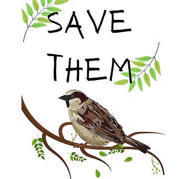 save sparrow drawing / save sparrow bird drawing / drawing of sparrow / how  to draw a sparrow easy - YouTube