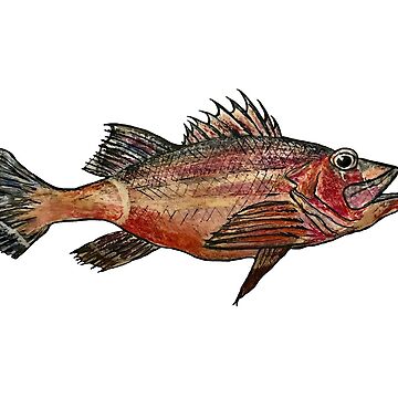 Snapper Bluefish Illustration | Backpack