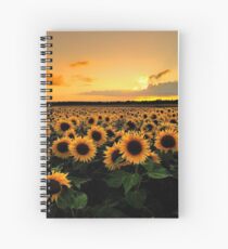Sunflower Field Spiral Notebook