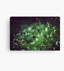 Spring flowers Canvas Print
