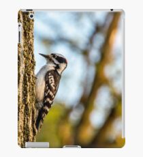 Downy Woodpecker on Tree iPad Case/Skin