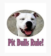 Pit Bulls Rule! Photographic Print