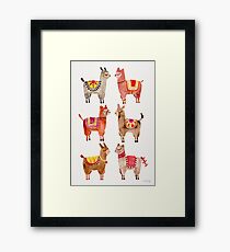 Alpacas Framed Print