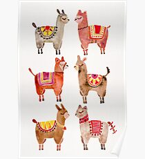 Alpacas Poster