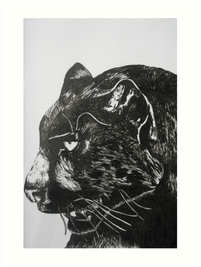 "Panther drawing " Art Prints by LouisHunt | Redbubble