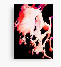 Fire Ink Canvas Print