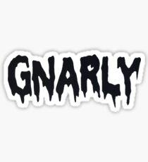BRANDY MELVILLE GNARLY Sticker