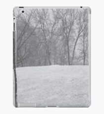 Snow landscape trees iPad Case/Skin