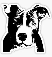 Pitbull Love Sticker