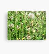 Weeds Metal Print