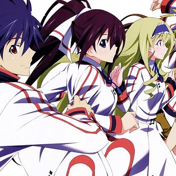 Infinite Stratos 1 Art Board Print for Sale by Dylan5341