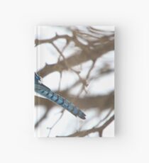 Winter Jay 2 Hardcover Journal