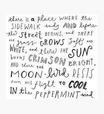 Where the Sidewalk Ends quote Shel Silverstein Photographic Print