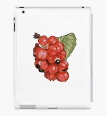 Guaraná, Illustrated iPad Case/Skin