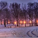 Winter Sledding by ponycargirl