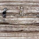 Farm House Window by ponycargirl