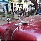 Havana Hood Ornament by ponycargirl