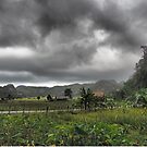 Viñales  by ponycargirl