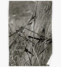 Rusty Poster