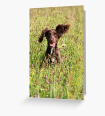 Out of the flowers Greeting Card