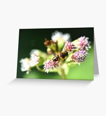 " Nectar Stripes " Greeting Card
