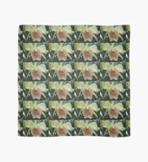 Orchid yellow Scarf