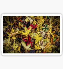Fallen Leaves Sticker