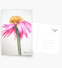 Coneflower Postcards