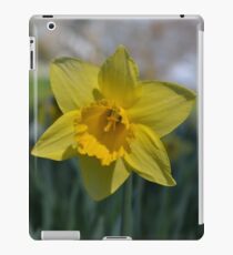 Daffodil iPad Case/Skin