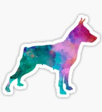 Miniature Pinscher in watercolor Sticker