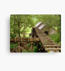 Deep in the Woods.......^ Canvas Print